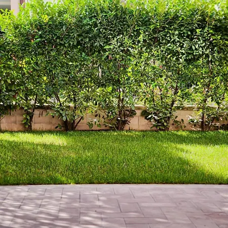 Ada's Garden House Apartment